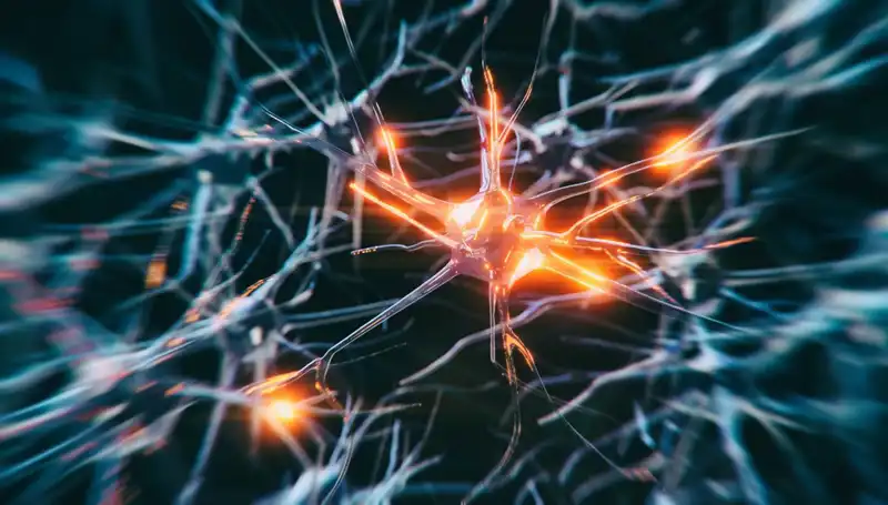 Alzheimer Vakalarının Artışı: Nedenleri ve Çözüm Önerileri Üzerine Derinlemesine Bir İnceleme