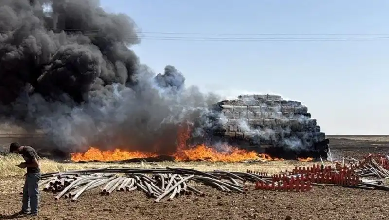 Mardin'de Anız Yangını: Doğa ve Ekonomi İçin Tehlike Sinyalleri!