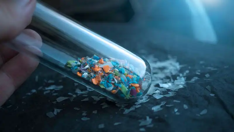 Mikroplastik Tehlikesi: İnsan Beynine Ulaşan Zararlı Parçacıklar