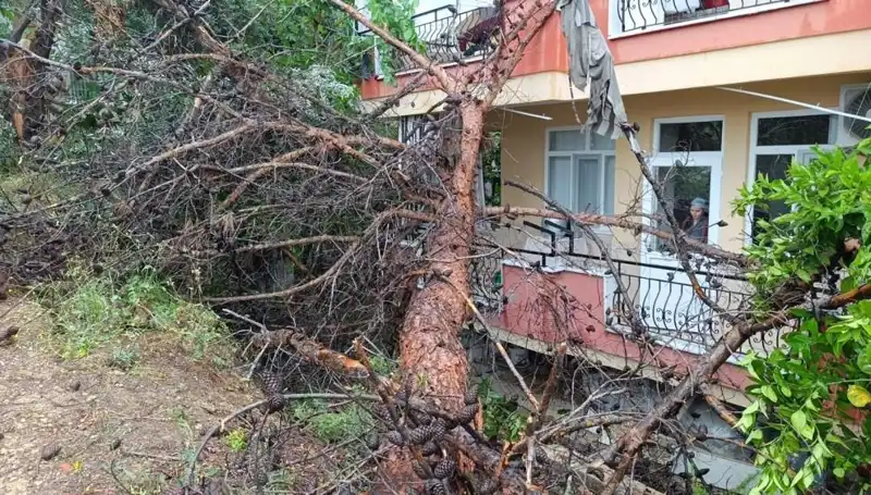 Yağmurdan Sonra Bina Yıkıldı: Can ve Mal Güvenliği Tehlikede!