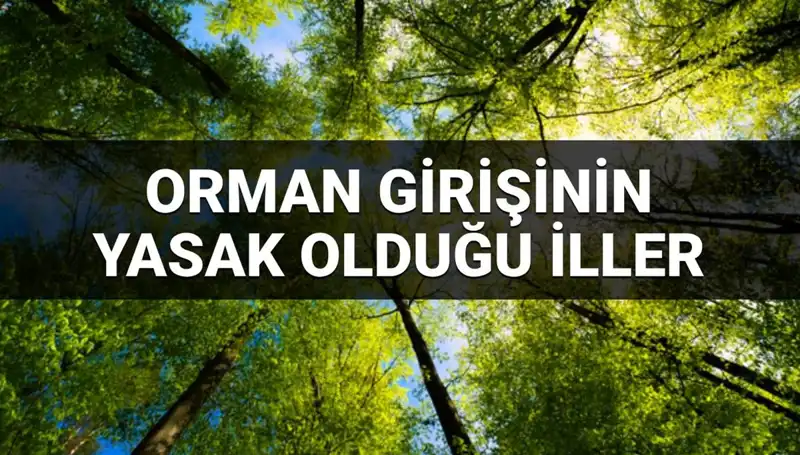 Türkiye'de 2025'te Ormana Girişi Yasaklanan İller Açıklandı
