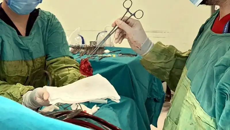 Kalp Kapağı Çürüyen Hastanın 7 Saat Süren Ameliyatı Gerçekten Mucizevi