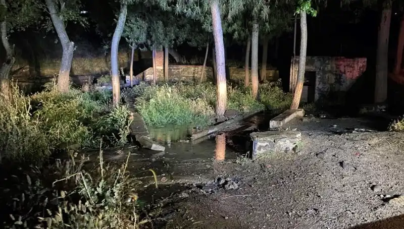 Manisa’da Parkta Şüpheli Ölüm: Detaylar ve Olası Sebepler