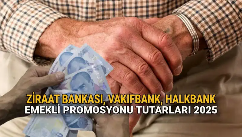 2025 Yılında Emekli Promosyonları: Kamu Bankaları Ne Sunacak?
