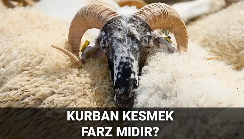 Kurban Kesmek Farz mı? Diyanet’in Görüşü ve Şartlar